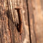 Makroaufnahme eines rostigen Nagels in verwittertem Holz – Sinnbild für Festhalten und vergangene Bindungen.