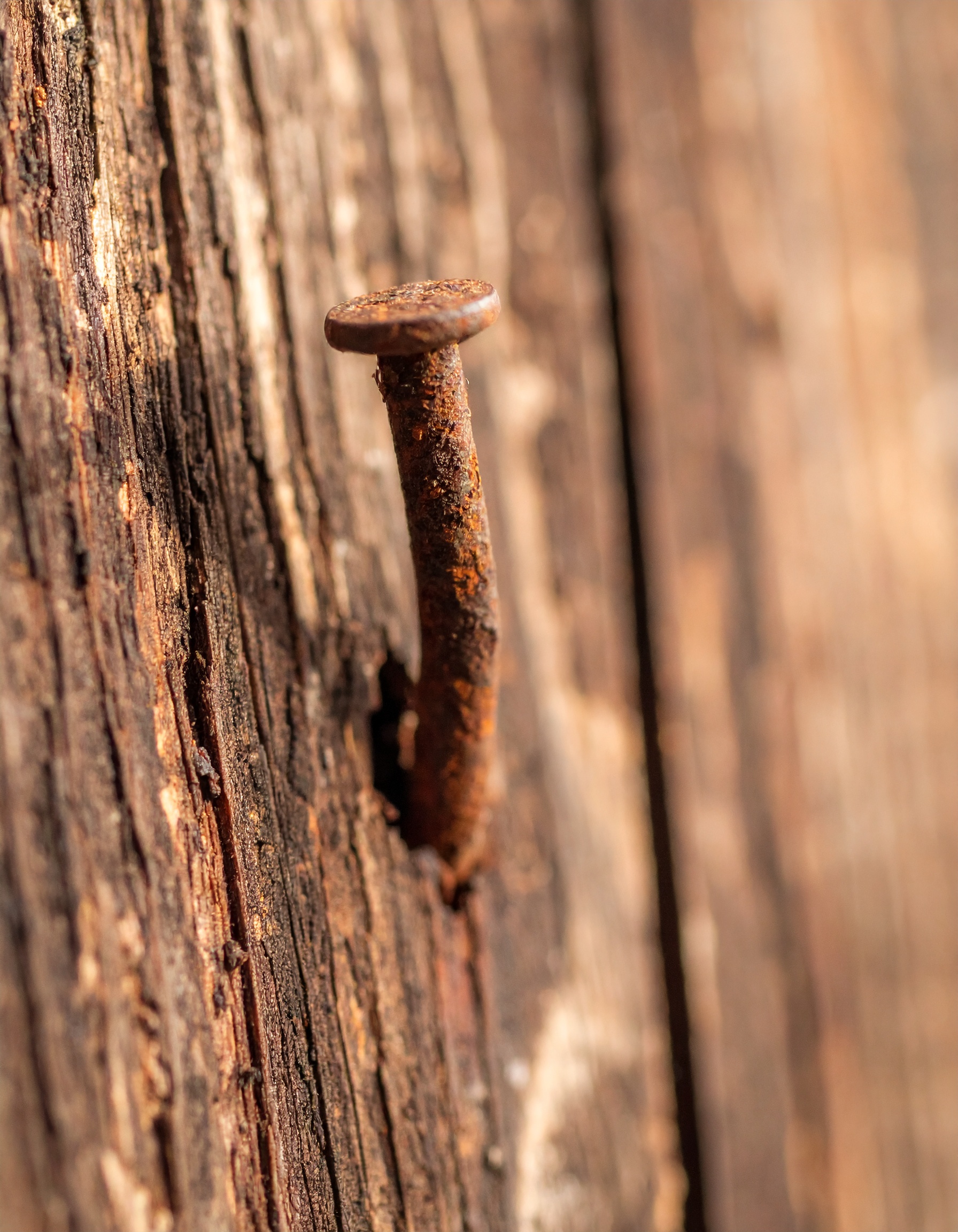 Der rostige Nagel – Symbol rostiger Nagel für Festhalten, Vergangenheit & Wandel