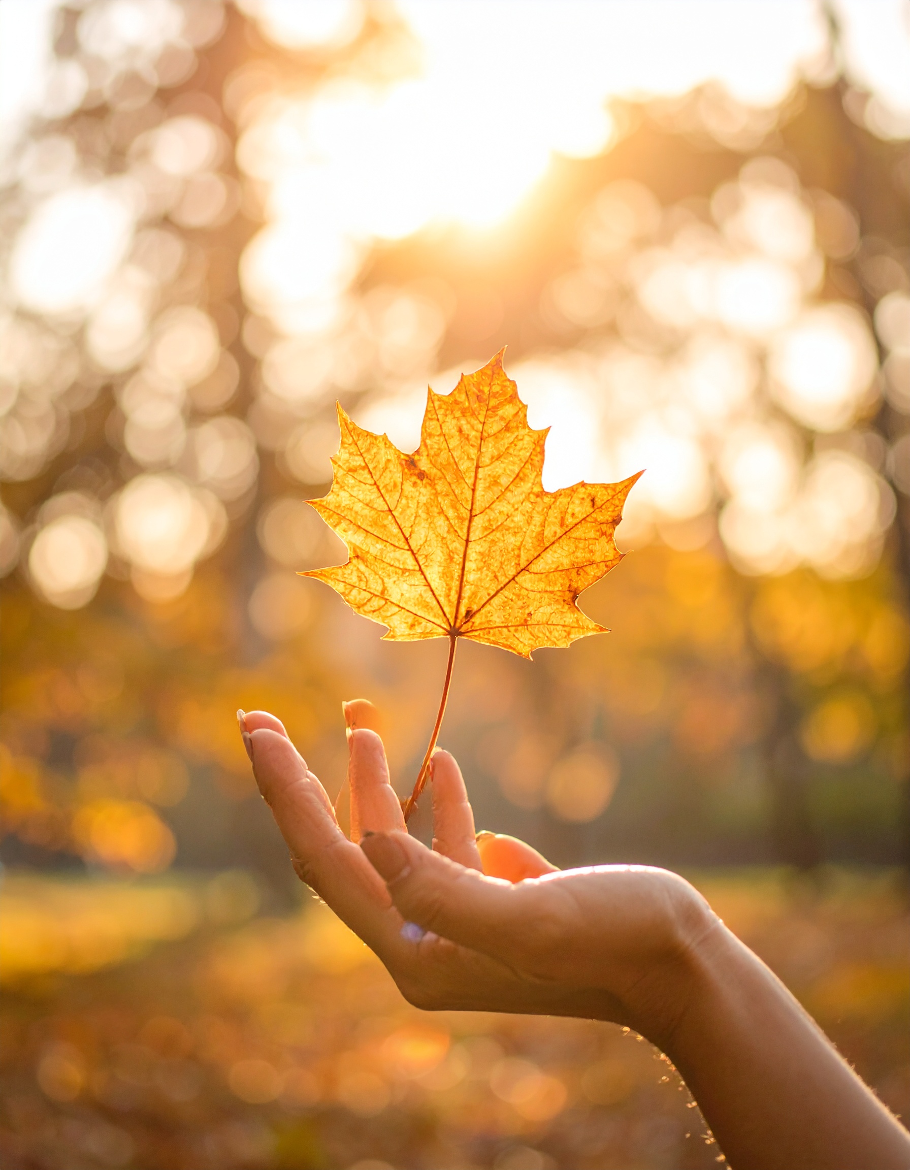 Wenn Loslassen wie ein Flüstern ist