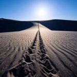 Die Sprache der Grenzen