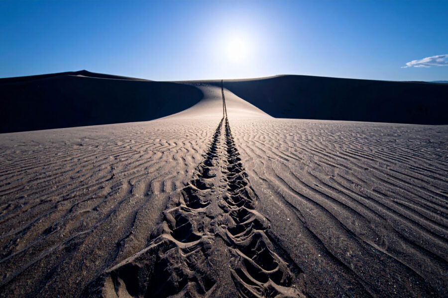 Die Sprache der Grenzen