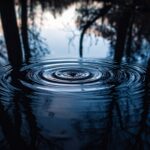 Eine Wasseroberfläche spiegelt Himmel und Bäume, leichte Wellen brechen das Bild – Symbol für Selbstreflexion und Wahrheit im Bruch.