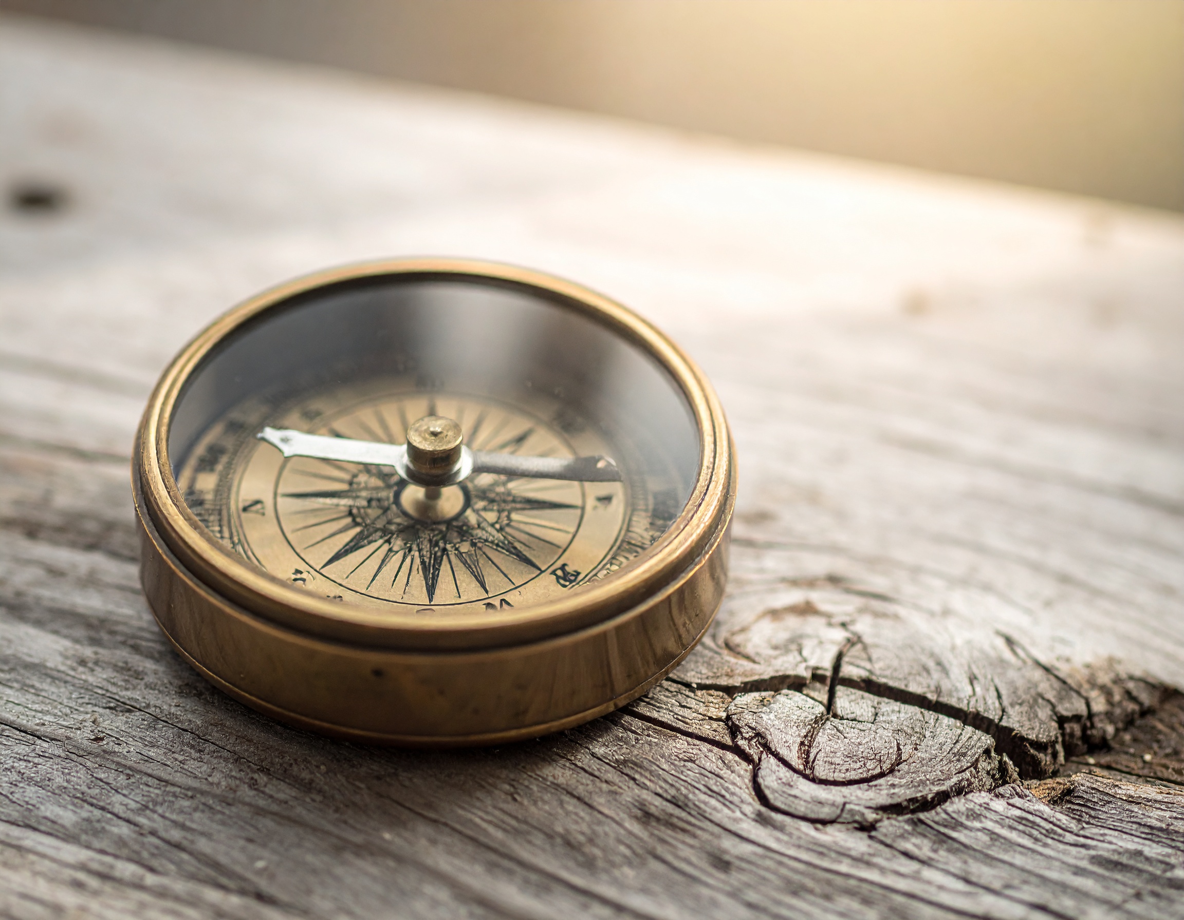 Der Kompass, der nach Süden zeigt