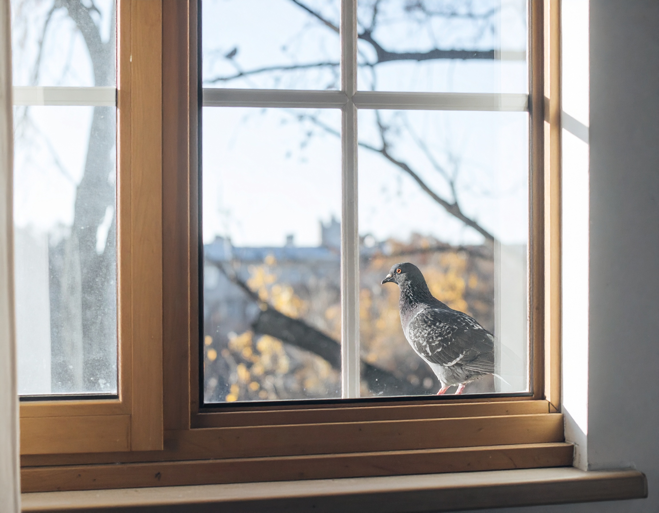 Das Lachen vor dem ersten Wort